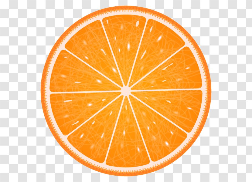 Orange Vector Graphics Clip Art Illustration Image - Citrus - Fruit Transparent PNG
