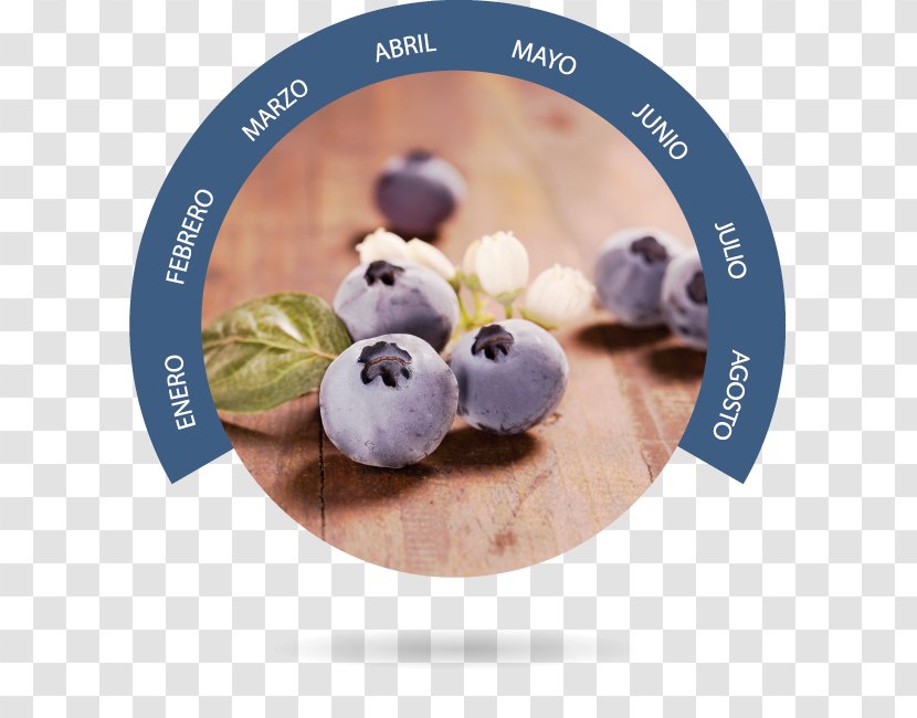 Bionest Blueberry Bilberry Almonte Transparent PNG