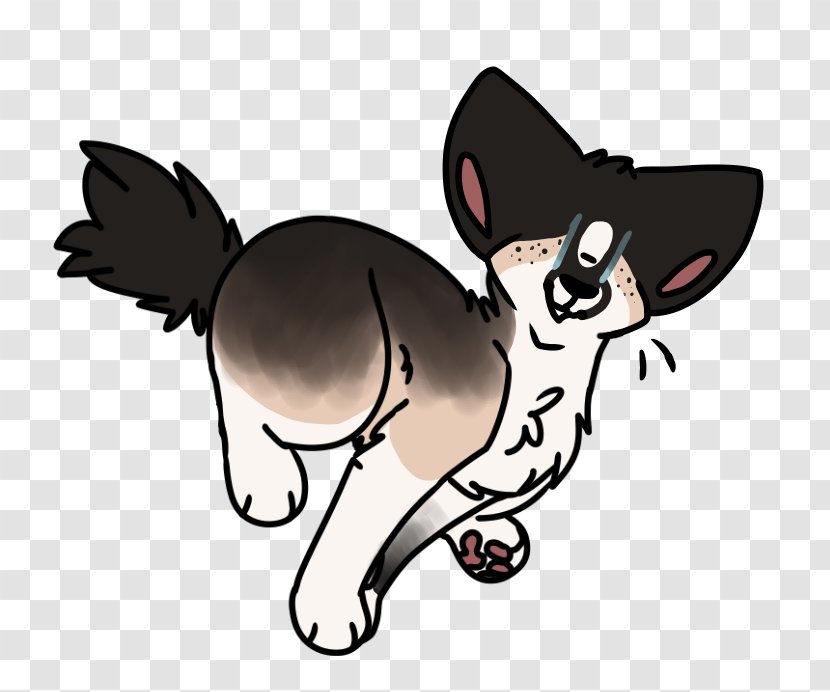 Whiskers Kitten Dog Cat Mammal - Frame - Heads Up Transparent PNG