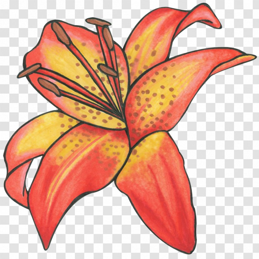 Floral Design Cut Flowers Leaf Plant Stem - Flower Transparent PNG