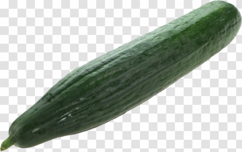 Pickled Cucumber Sandwich Vegetable Pickling - Juice Transparent PNG