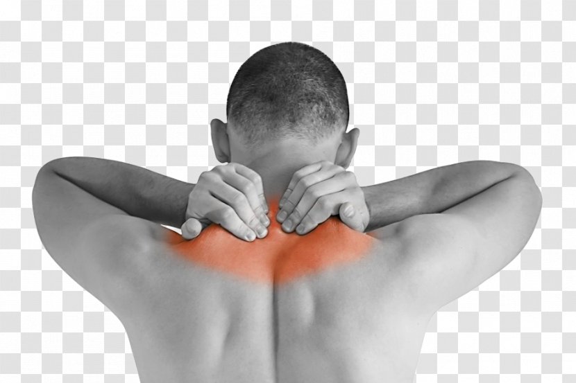 Massage Physical Therapy Neck Pain Manual - Tree Transparent PNG