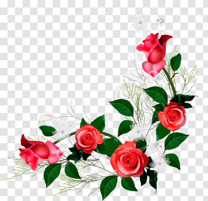 Garden Roses Love Flower Floral Design Religious Text - Flora - Rosas Vermelhas Transparent PNG