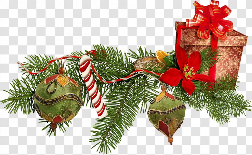 Christmas Ornament New Year Gift - Fir Transparent PNG