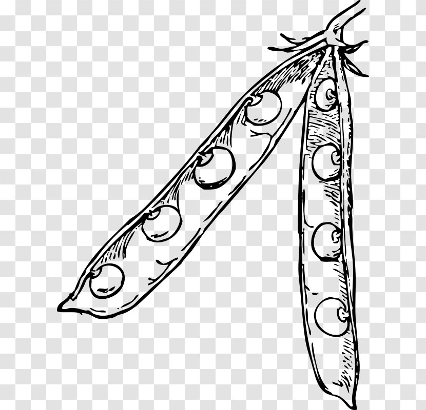 Peapod Bean Clip Art - Monochrome Photography - Pea Transparent PNG