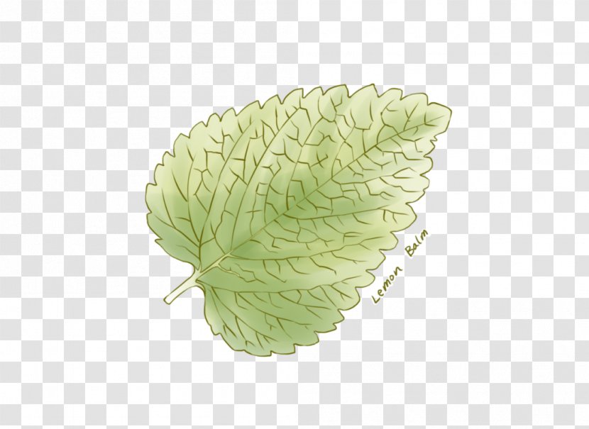 Organism - Lemon Leaves Transparent PNG