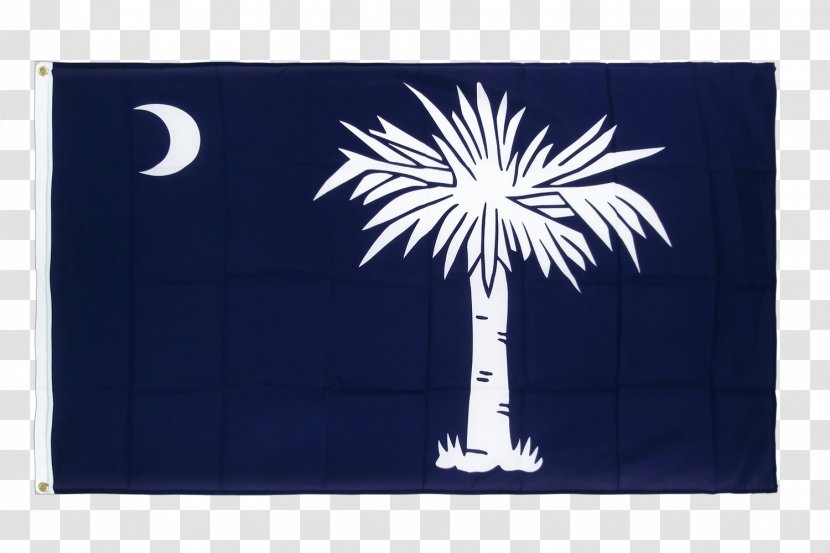 Flag Of South Carolina Highway 3 Rectangle Area - Curriculum Vitae Transparent PNG