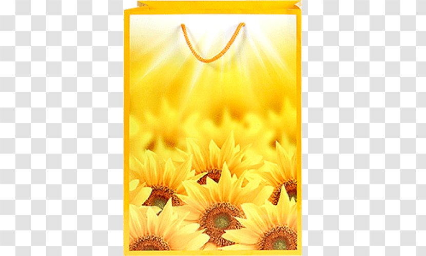 Common Sunflower Desktop Wallpaper High-definition Television Image File Formats - Seed Transparent PNG