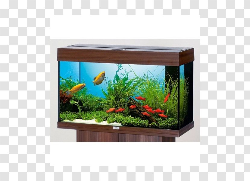 Aquarium Filters Fishkeeping Glass Heater - Color Transparent PNG