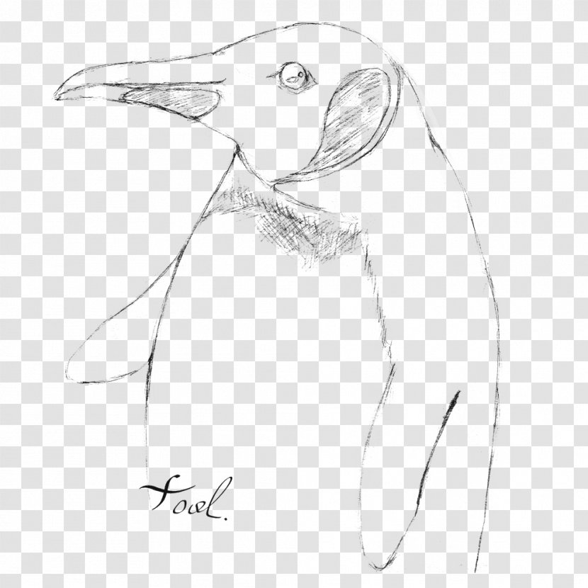 Penguin Ducks, Geese And Swans Bird Goose Sketch - Neck Transparent PNG