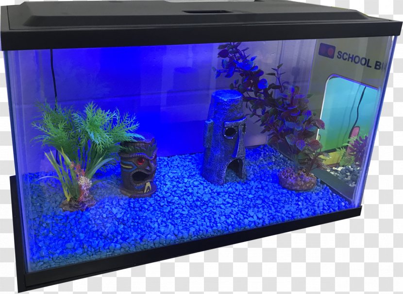 Aquarium Lighting Aquariums Gallon Electric Blue - Fish - Tank Transparent PNG