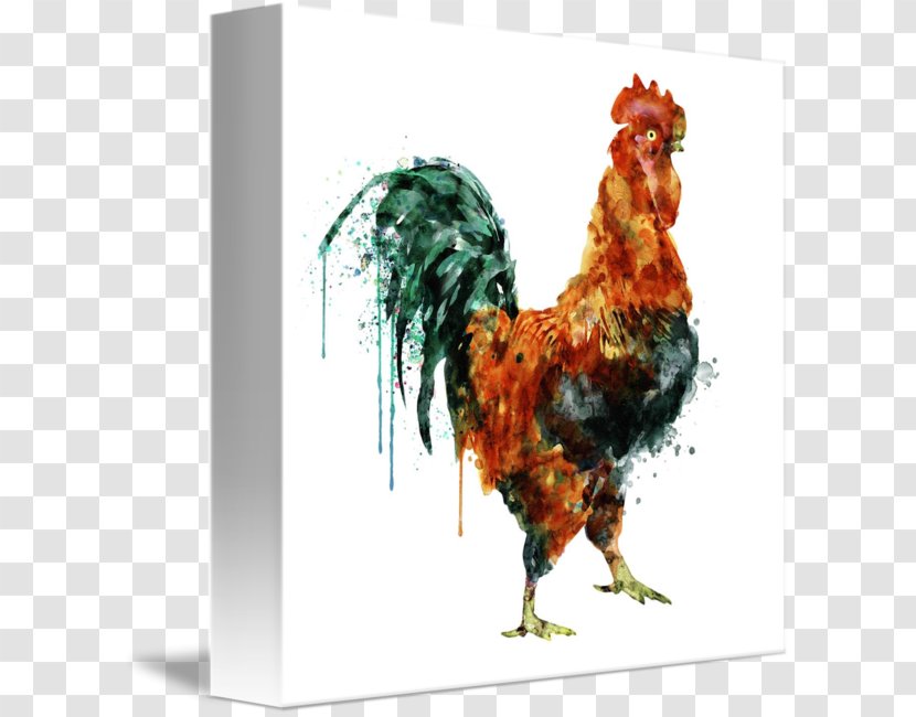 Watercolor Painting Rooster Canvas Art Transparent PNG