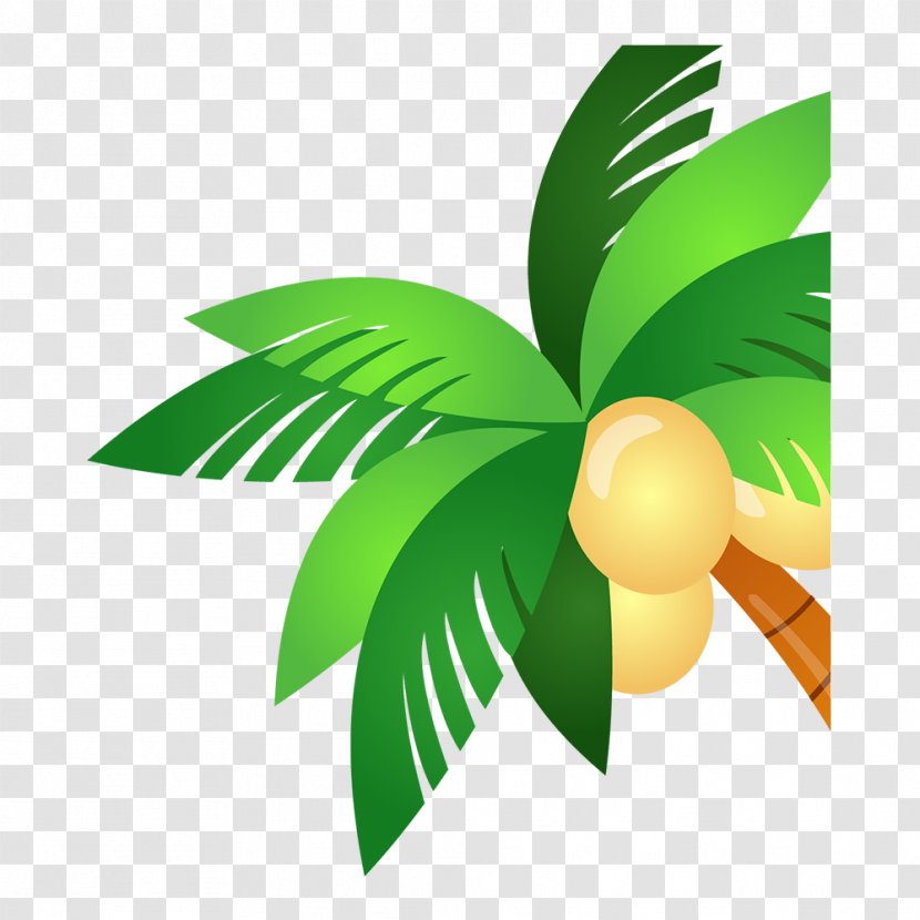 Palm Trees Coconut Image ZYC351 - Zyc351 - Packing Free Transparent PNG