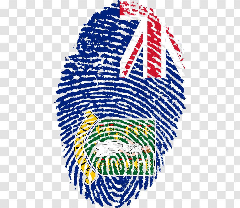 Fingerprint Flag Of Brazil Stock.xchng - Camo Auto Body Kits Transparent PNG