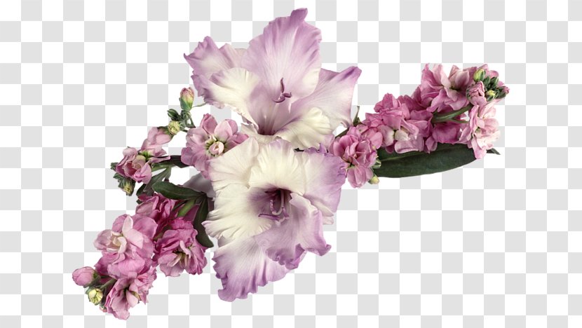 Birthday Ansichtkaart Animaatio Daytime - Floristry Transparent PNG