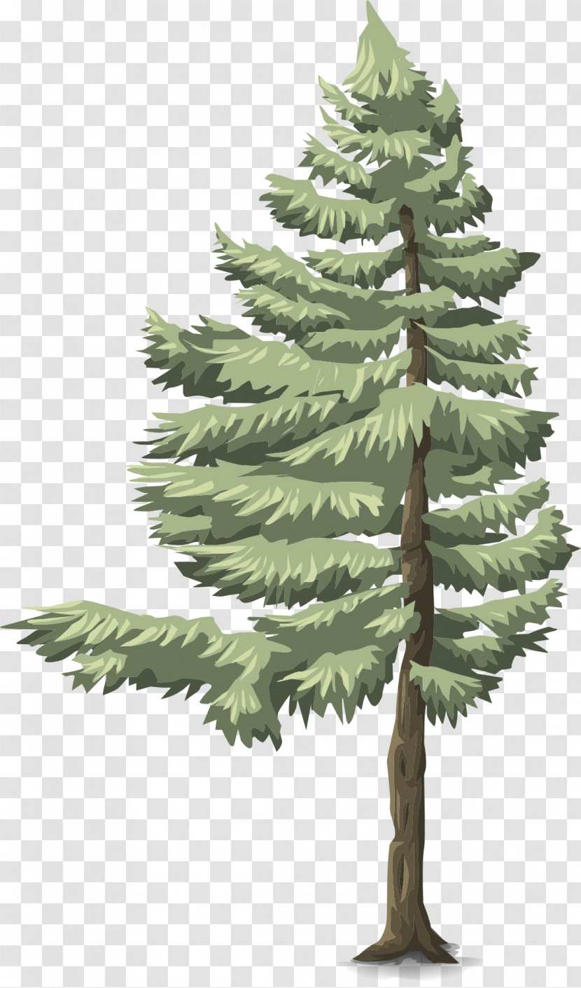 Clip Art - Drawing - Palm Tree Transparent PNG