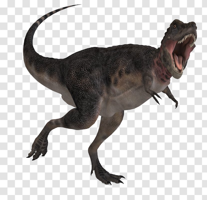 Tarbosaurus Dinosaur Royalty-free Stock Photography Illustration - 3d Rendering Transparent PNG