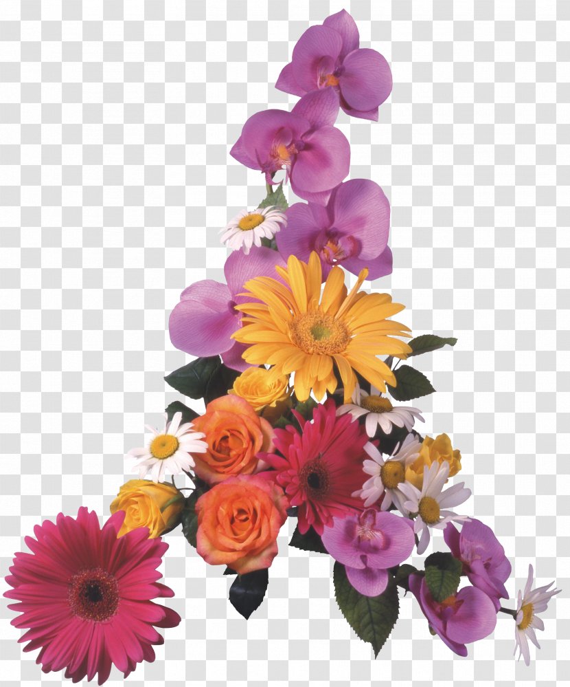 Cut Flowers Flower Bouquet Clip Art - Plant - Gazania Transparent PNG