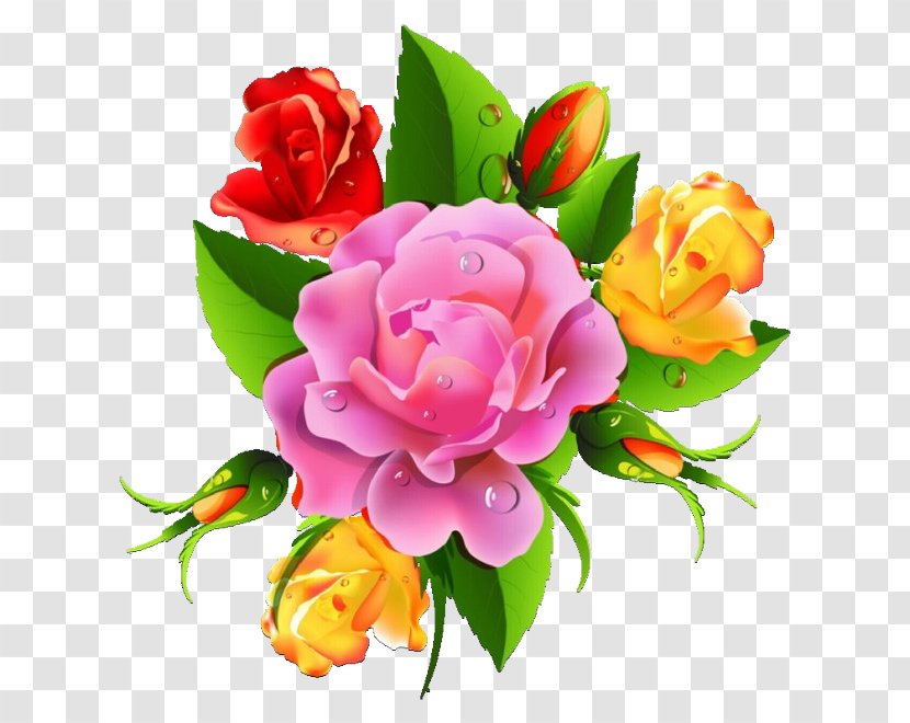 Garden Roses Flower Bouquet Cabbage Rose Cut Flowers - Flowering Plant - Impatiens Transparent PNG