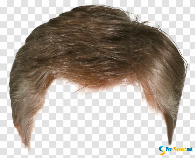 Hairstyle Wig Barber Long Hair - Fashion Transparent PNG