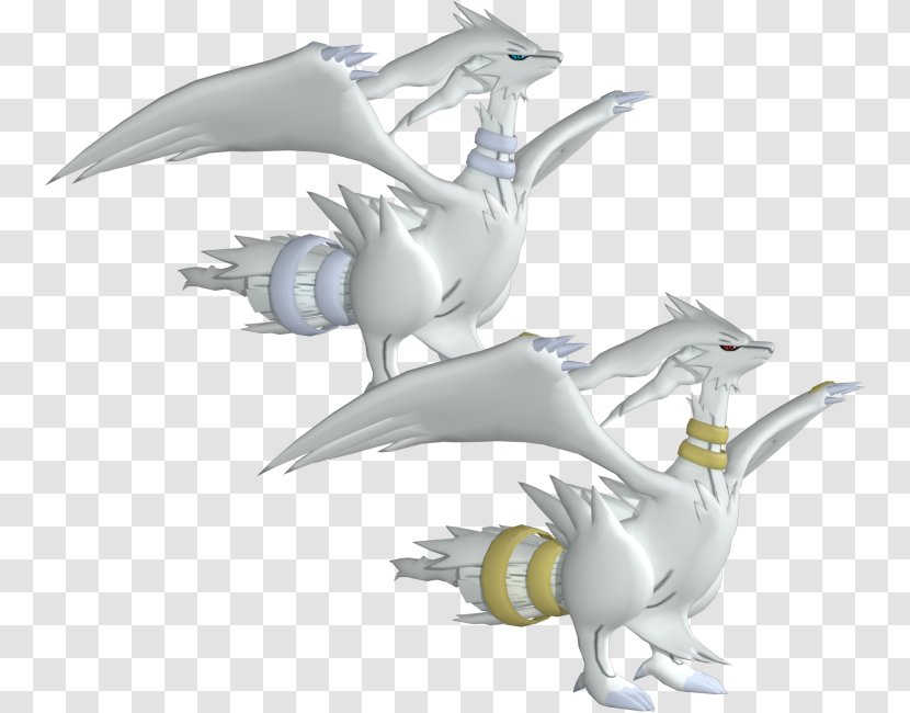 Pokémon Ruby And Sapphire Reshiram 3D Computer Graphics Modeling - Fictional Character - Free 3d Model Female Transparent PNG