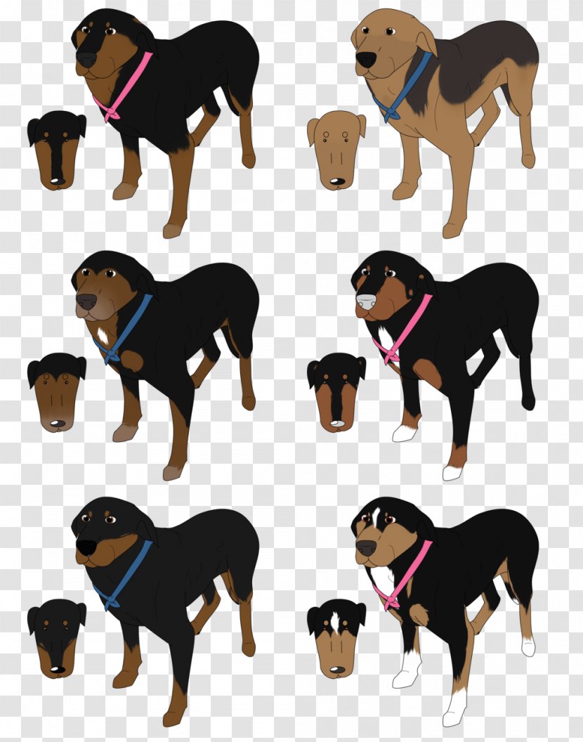 German Pinscher Entlebucher Mountain Dog Huntaway Transylvanian Hound Puppy - Breed Transparent PNG