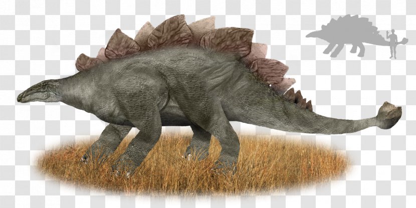 Muhuru Stegosaurus Cryptozoology Emela-ntouka Nguma-monene - Wildlife - Thagomizer Transparent PNG