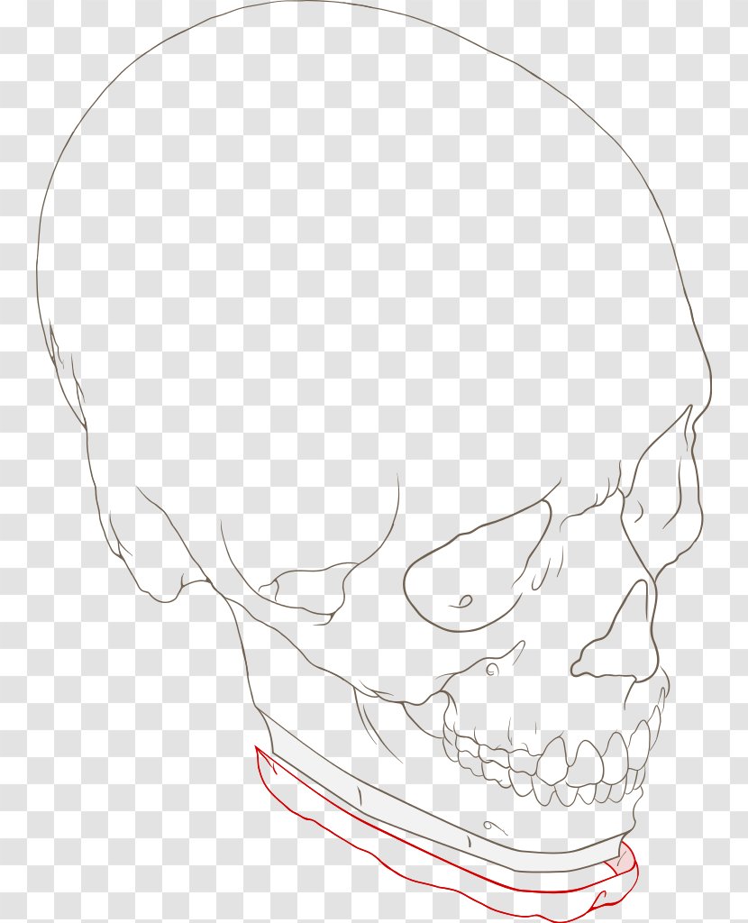 Drawing Line Art Face Skull - Black And White - Chin Material Transparent PNG