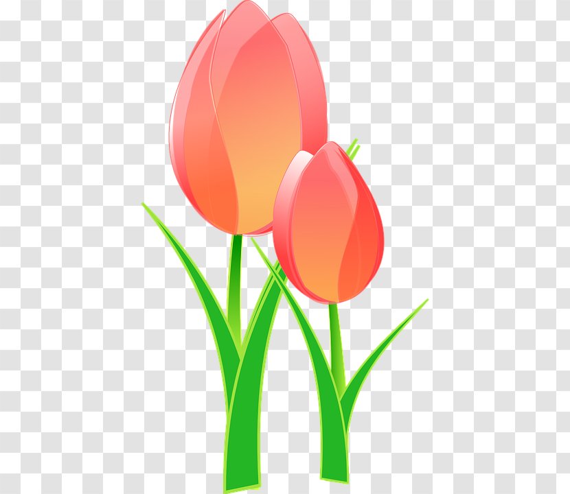 Indira Gandhi Memorial Tulip Garden Clip Art Vector Graphics Openclipart - Heart - Friendship Quilt Tulips Transparent PNG