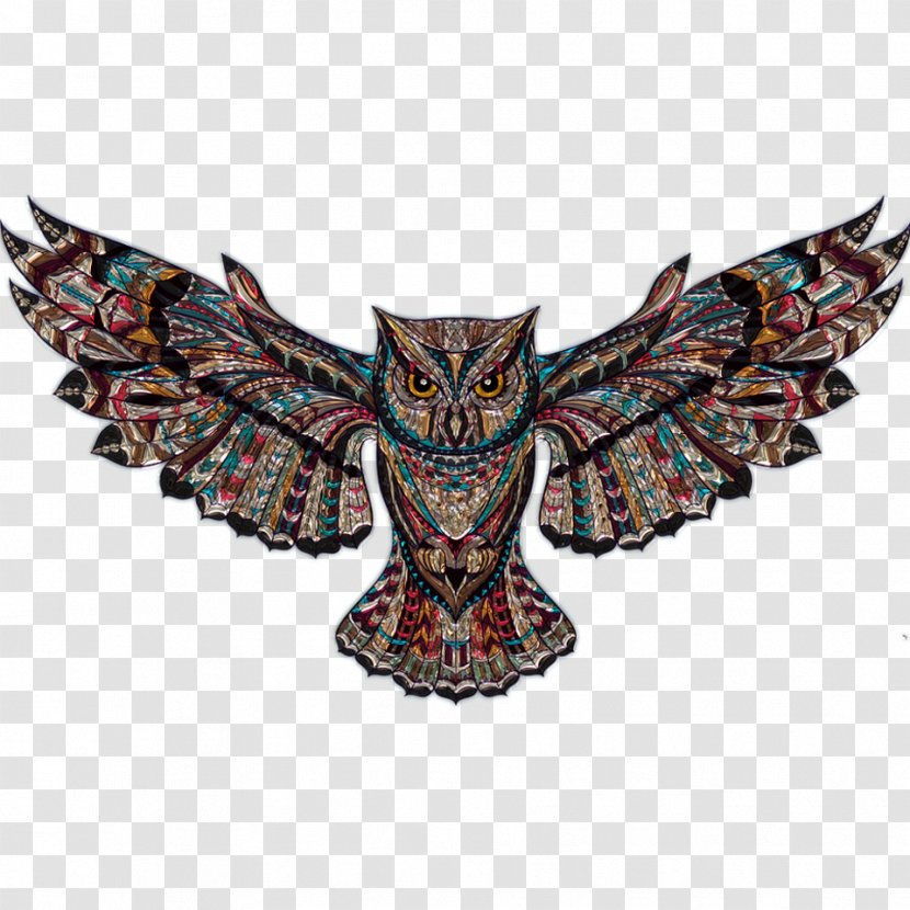 Owl Bird Art Clip - Wing Transparent PNG