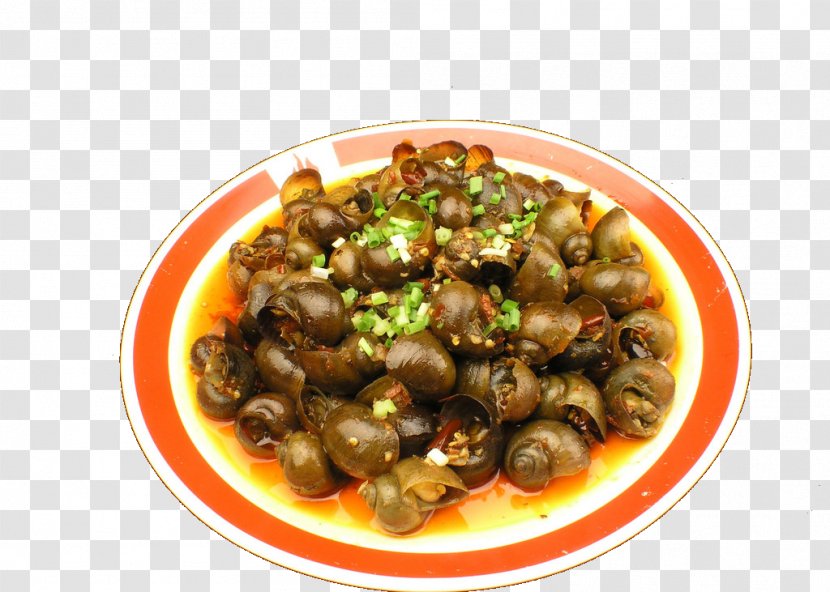 Download Snail - Cuisine - River Transparent PNG