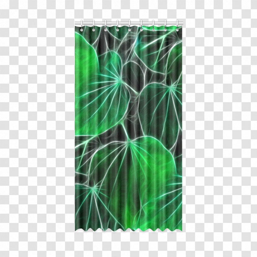 Leaf Plant Stem - Grass Transparent PNG