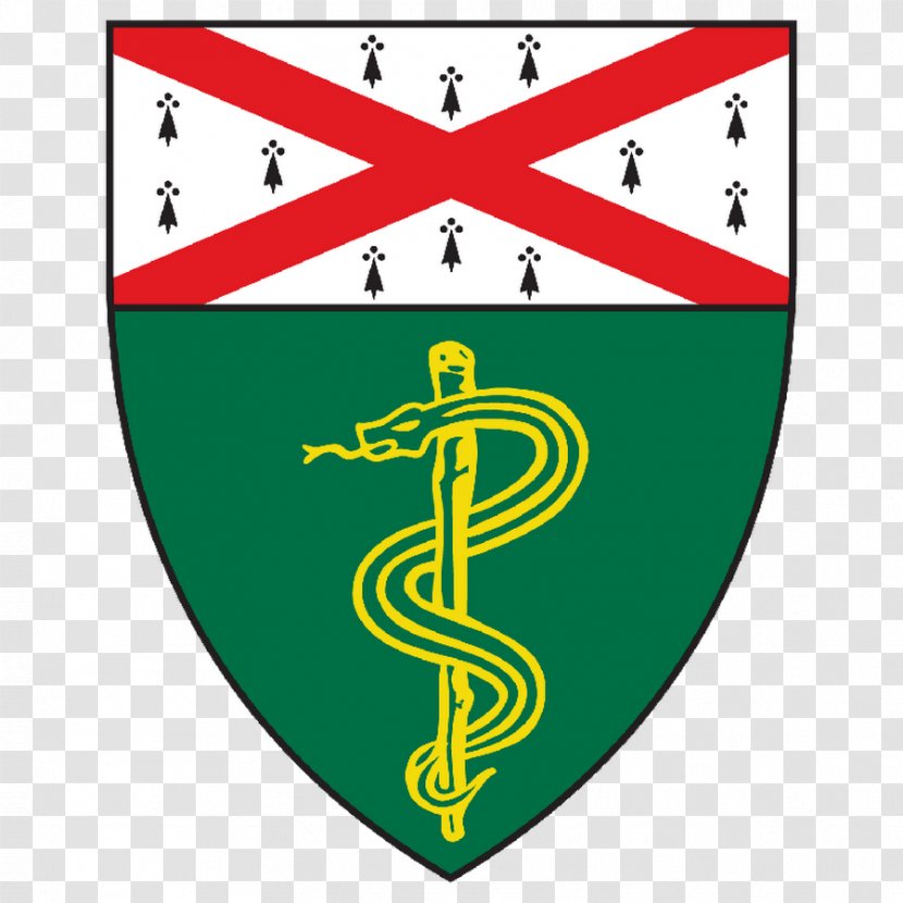 Yale School Of Medicine Management University - Symbol Transparent PNG