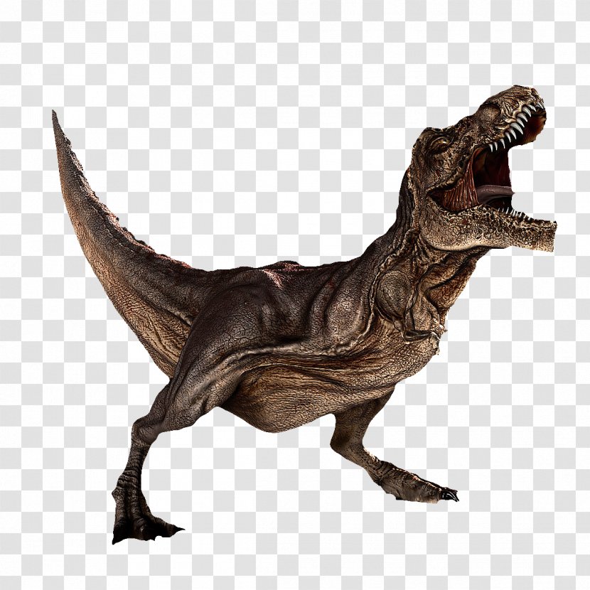 Dinosaur Tyrannosaurus Rex Carnotaurus - Realistic Roar Dinosaurs Transparent PNG
