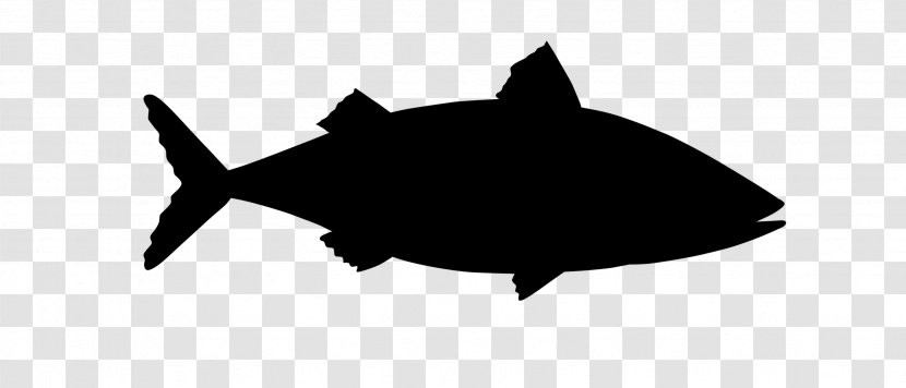 Shark Clip Art Silhouette Black M - Fin Transparent PNG