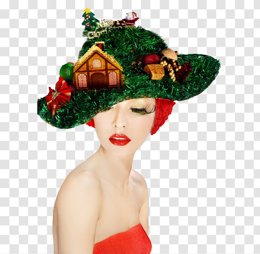 Christmas Party Make-up Hat Fedora - Western Model Offered A Transparent PNG