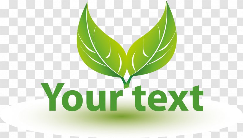 Organization Text Drawing Illustration - Green Leaves Picture Material Transparent PNG