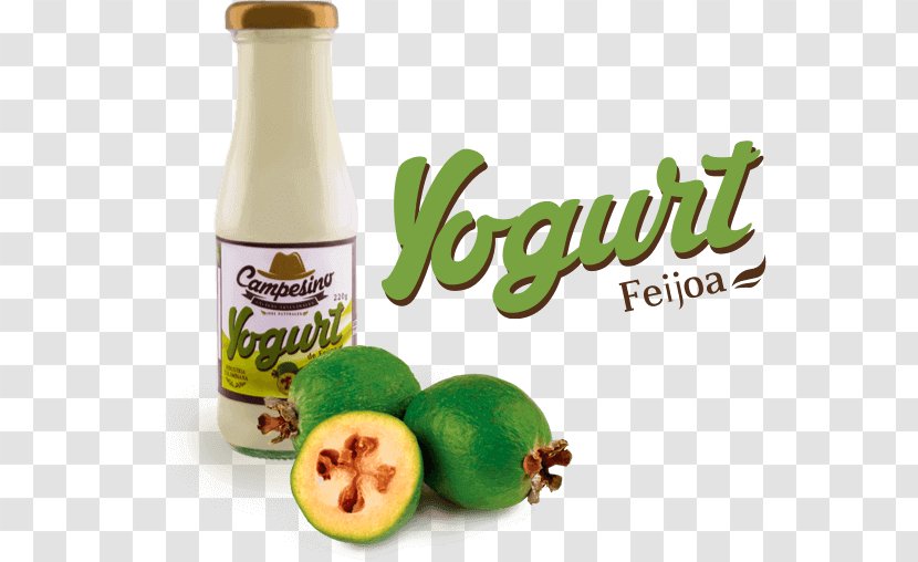 Flavor Yoghurt Food Dairy Products - Feijoa Transparent PNG