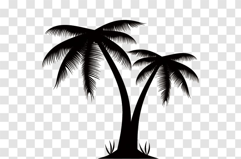 Arecaceae Euclidean Vector Stock Photography Clip Art - Silhouettes Of Palm Trees Transparent PNG