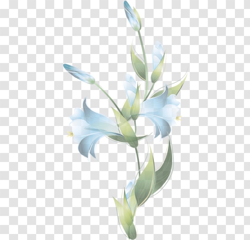 Floral Design Cut Flowers Lilium Desktop Wallpaper - Page Curls Transparent PNG