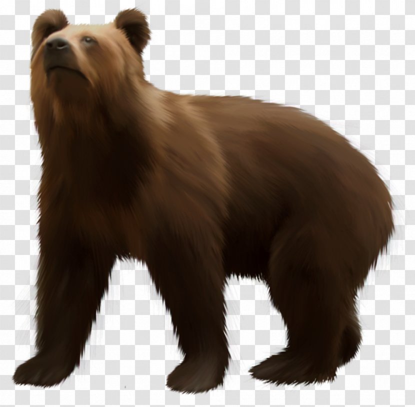 Grizzly Bear American Black Brown Clip Art Transparent PNG