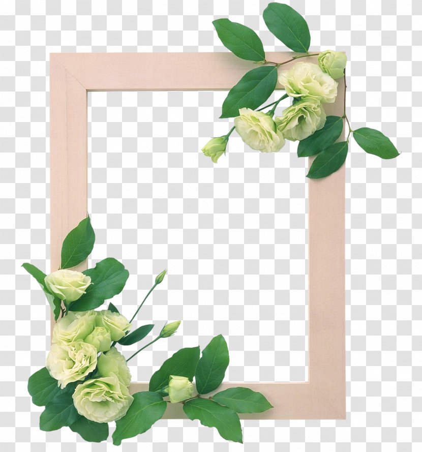 Download Clip Art - Plant Stem - Floral Transparent PNG
