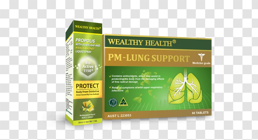Health Lung Nutrition Liver Blood - Olive Leaf Transparent PNG