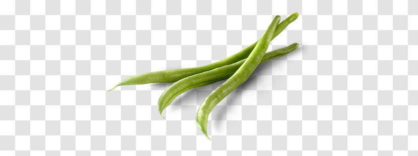 Green Bean Common Lima Side Dish - Superfood - Pea Transparent PNG