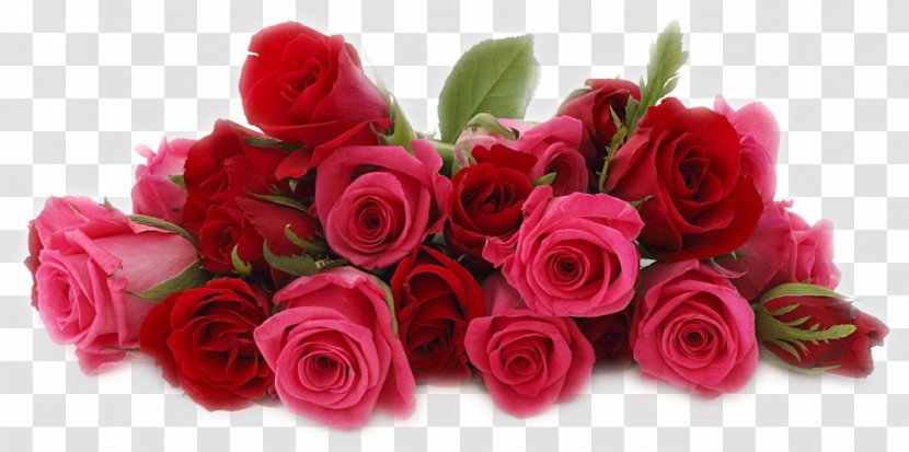 Flower Bouquet Floristry Cut Flowers Rose - Arranging - Petals Transparent PNG