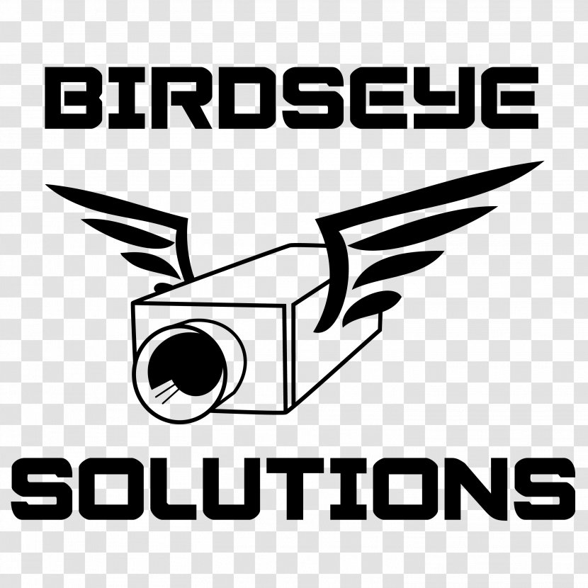 Logo Birdseye Solutions Brand Closed-circuit Television Font - Symbol - Supervision Transparent PNG