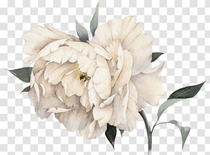 Bouquet Of Flowers Drawing - Magnolia - Tulip Transparent PNG