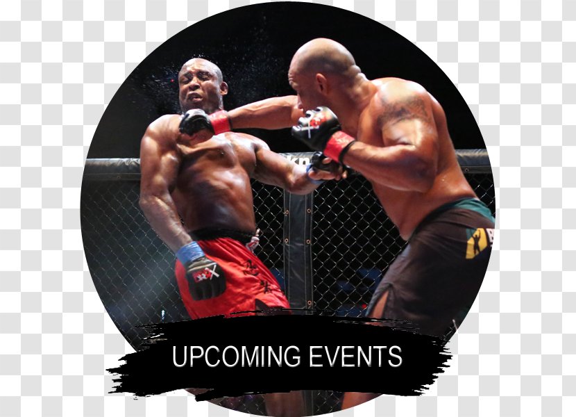 Professional Boxing Mixed Martial Arts Pradal Serey Glove - Arm - MMA Event Transparent PNG