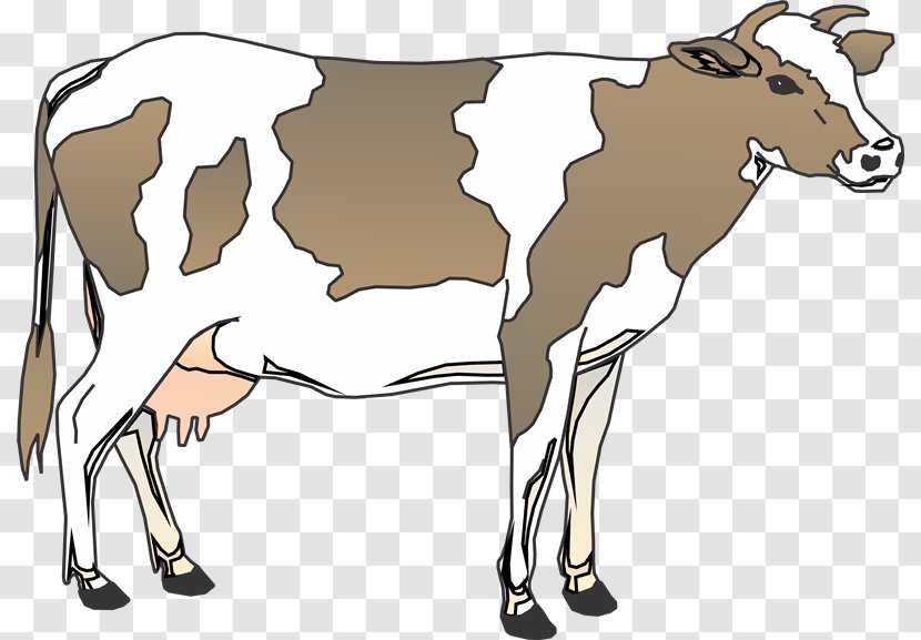 Taurine Cattle Texas Longhorn English Clip Art - Mammal - Ly Transparent PNG