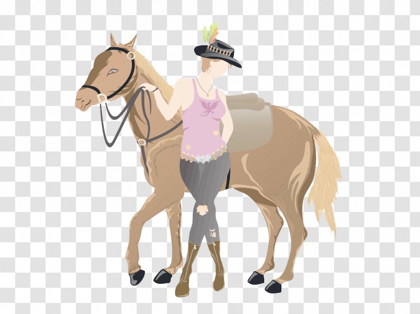 Mule Horse Pony Cowboy Illustration - Livestock - Fashion Jeans Transparent PNG